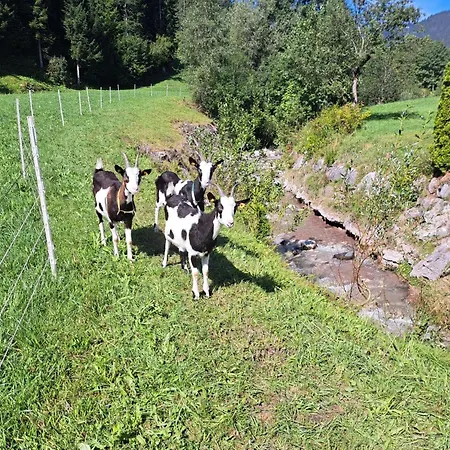 Jagerstueberl-60qm Eg Mit Gr Terrasse By Interhome Apartamento Grießen