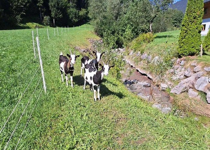 Jagerstueberl-60qm Eg Mit Gr Terrasse By Interhome Appartement Leogang
